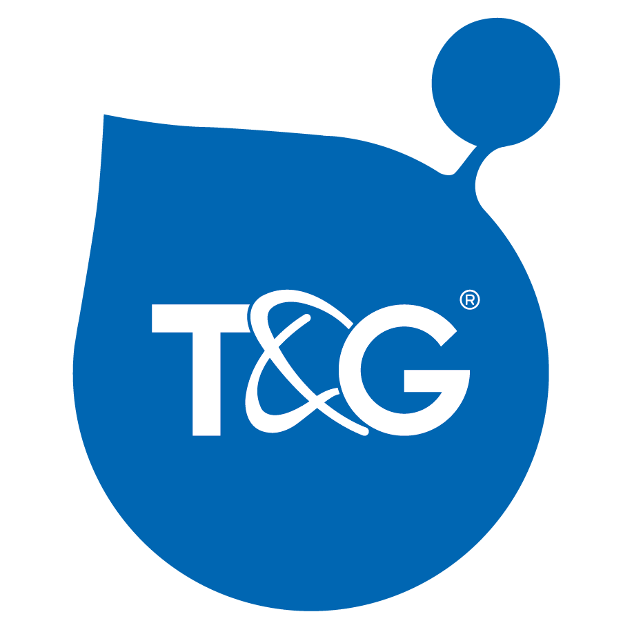 T&G - LINEO