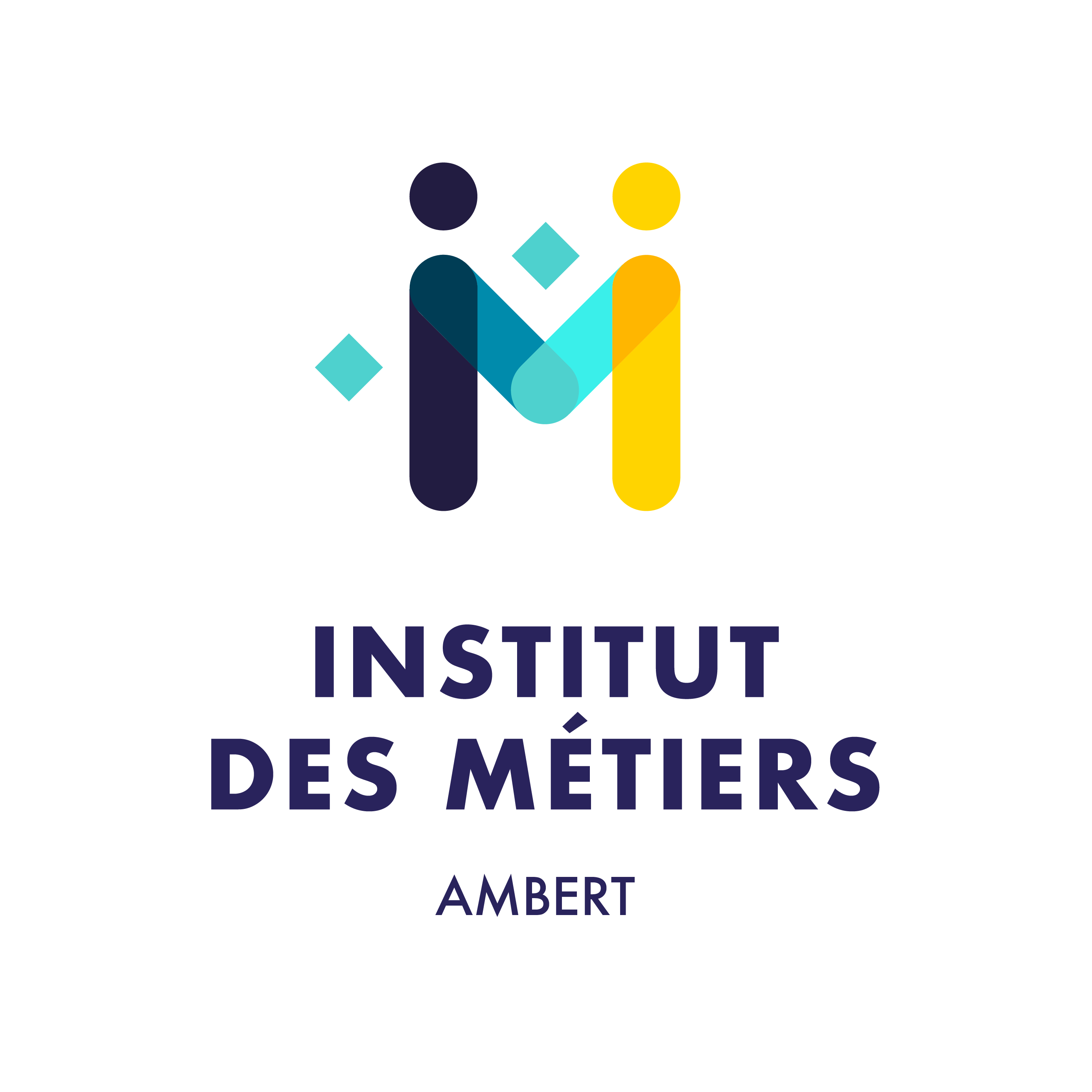 INSTITUT DES METIERS
