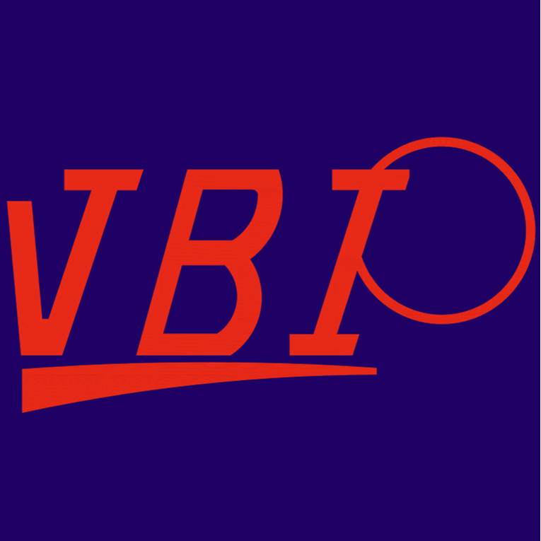 VBI - VINCENT BLEESZ INTERNATIONAL