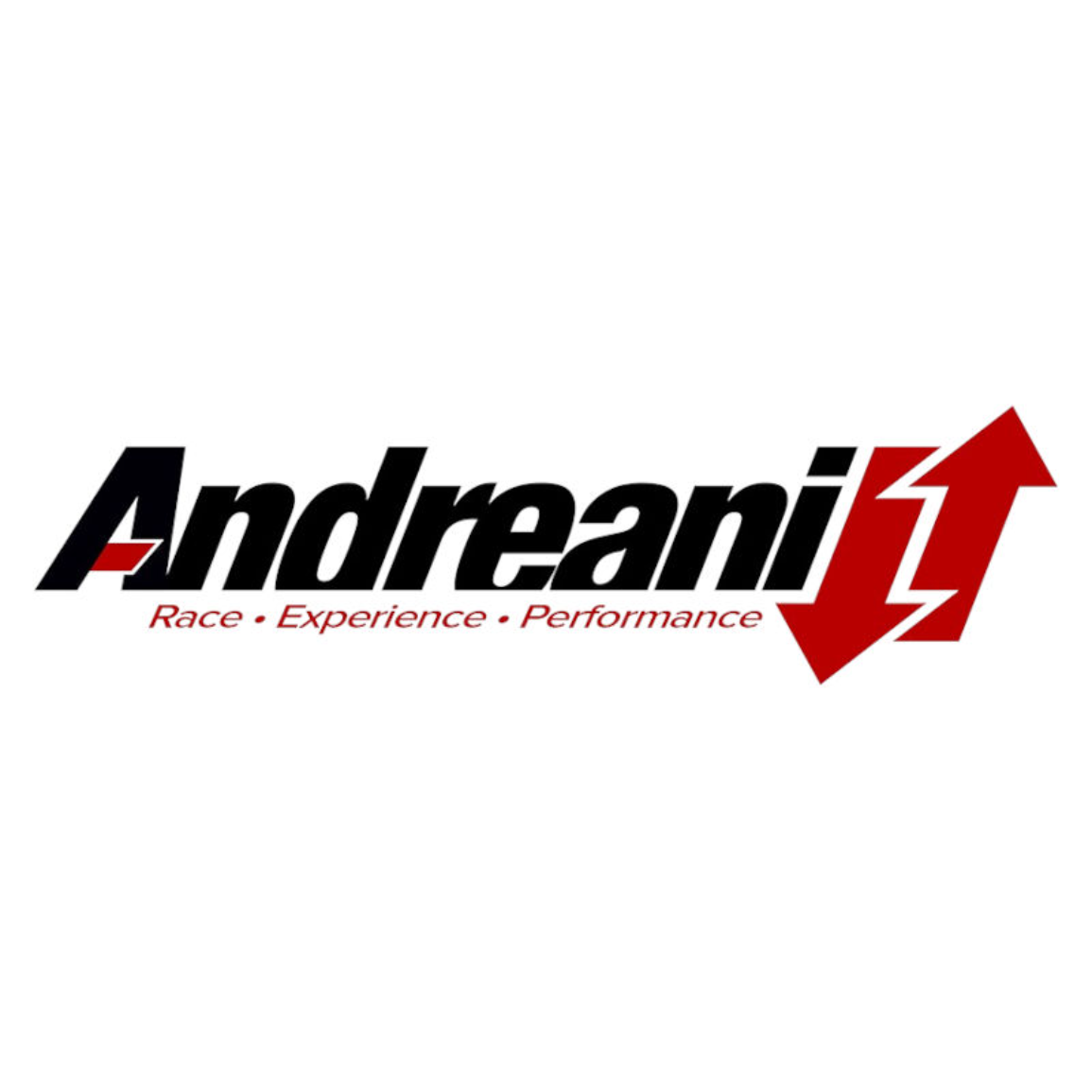 ANDREANI GROUP