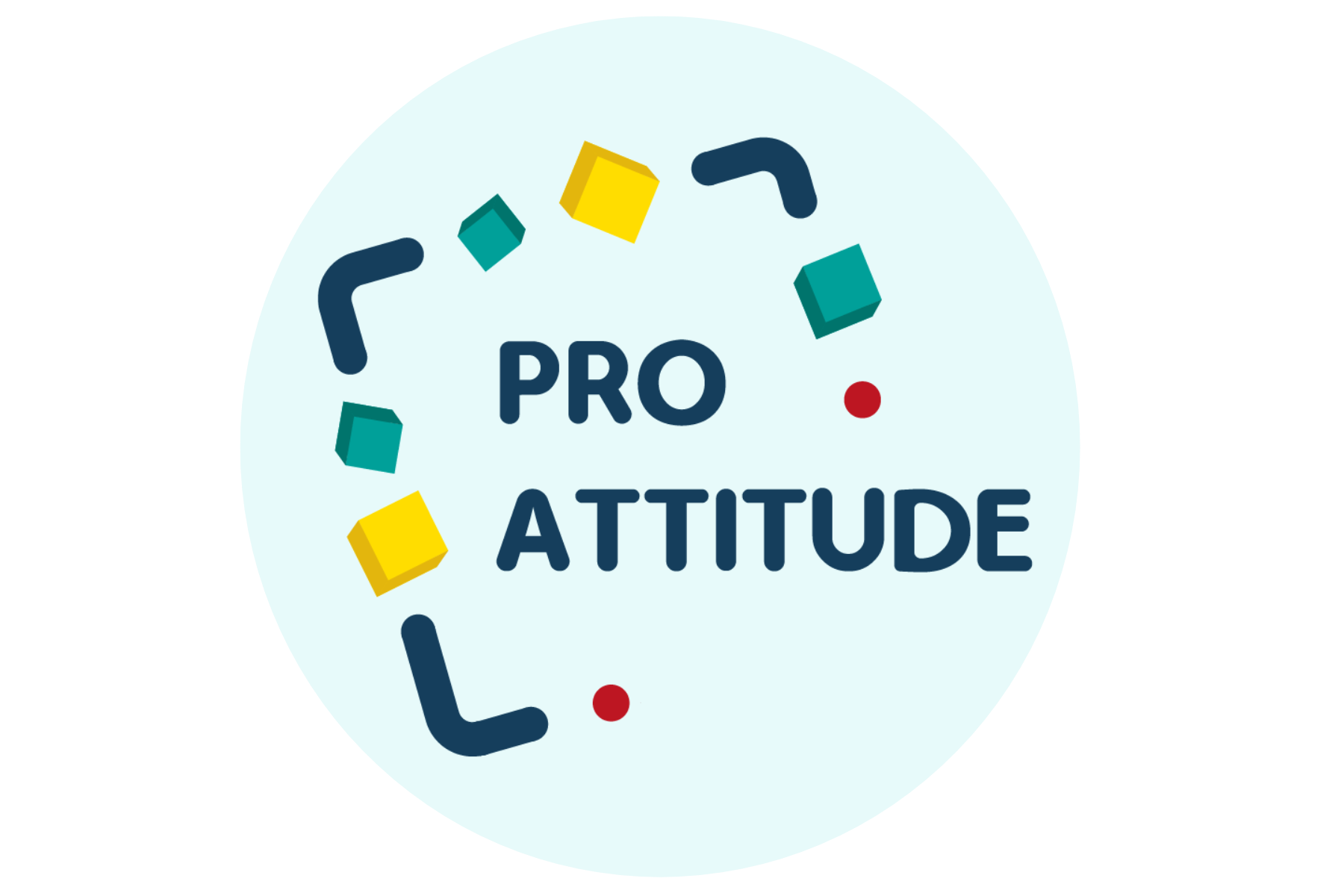 PRO ATTITUDE