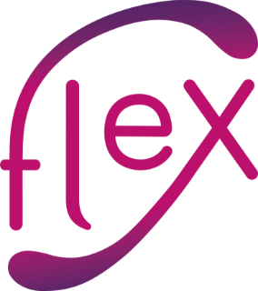Flex Conseil et Services