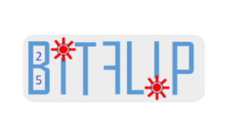BITFLIP - Injection de fautes
