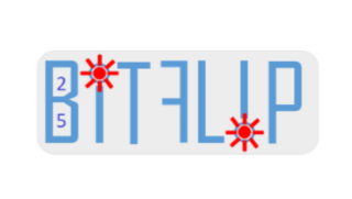 BITFLIP - Protection contre l'impact des fautes 