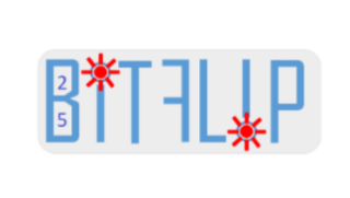 BITFLIP - Protection contre l'impact des fautes 