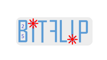 BITFLIP - Accueil & Introduction 