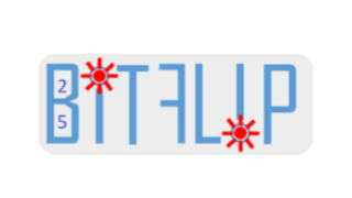 BITFLIP - Injection de fautes