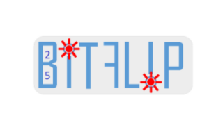 BITFLIP - Accueil & Introduction 