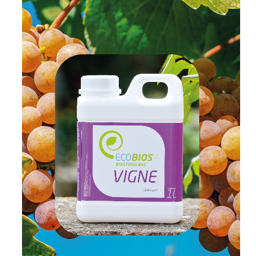 ECOBIOS VIGNE