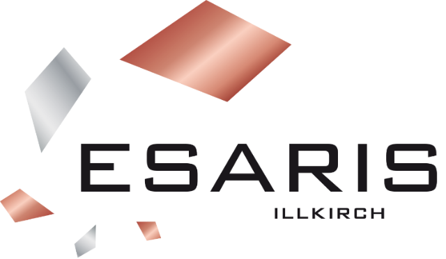 ESARIS INDUSTRIES SITE FELS