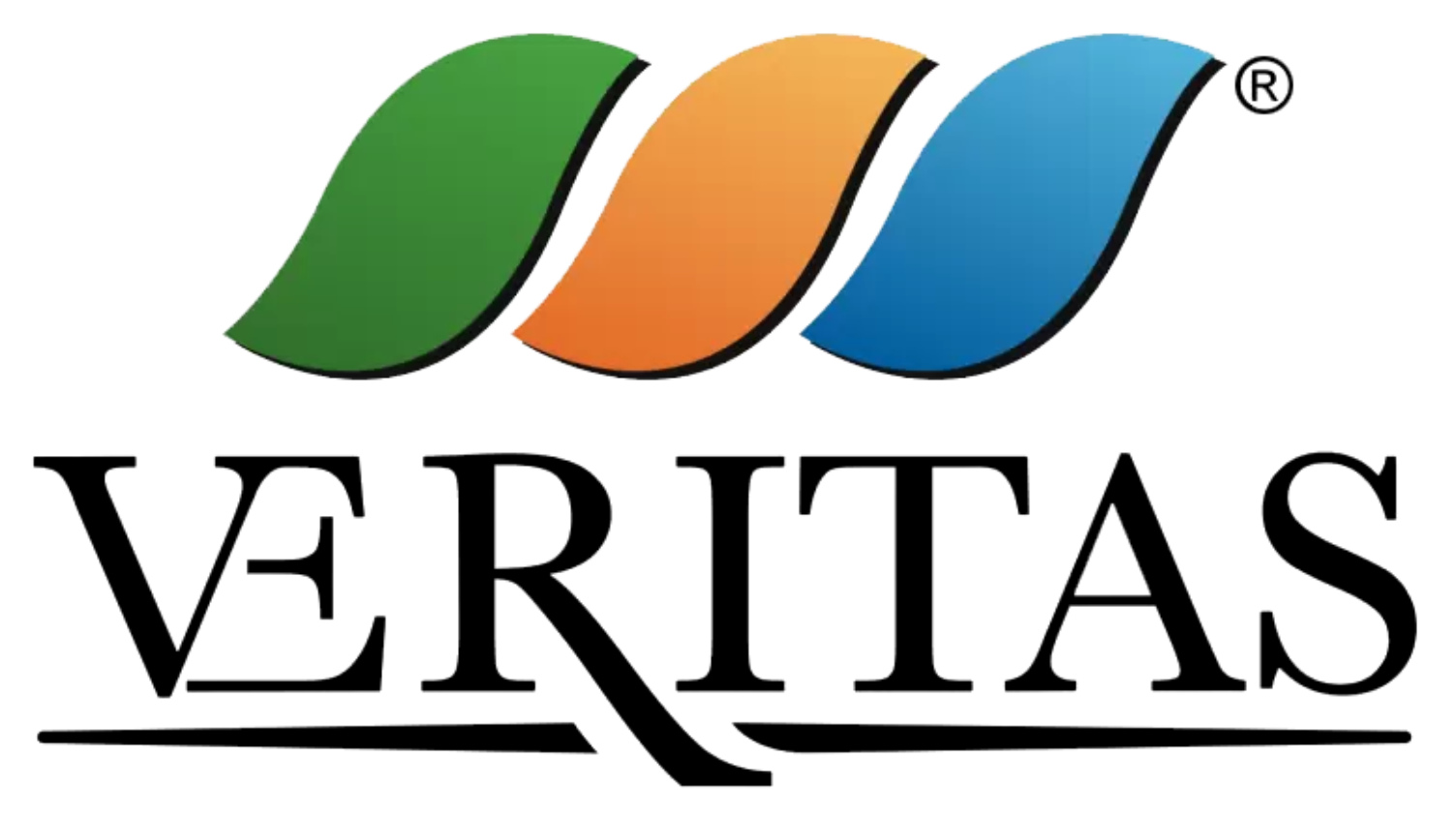 Gruppo Veritas