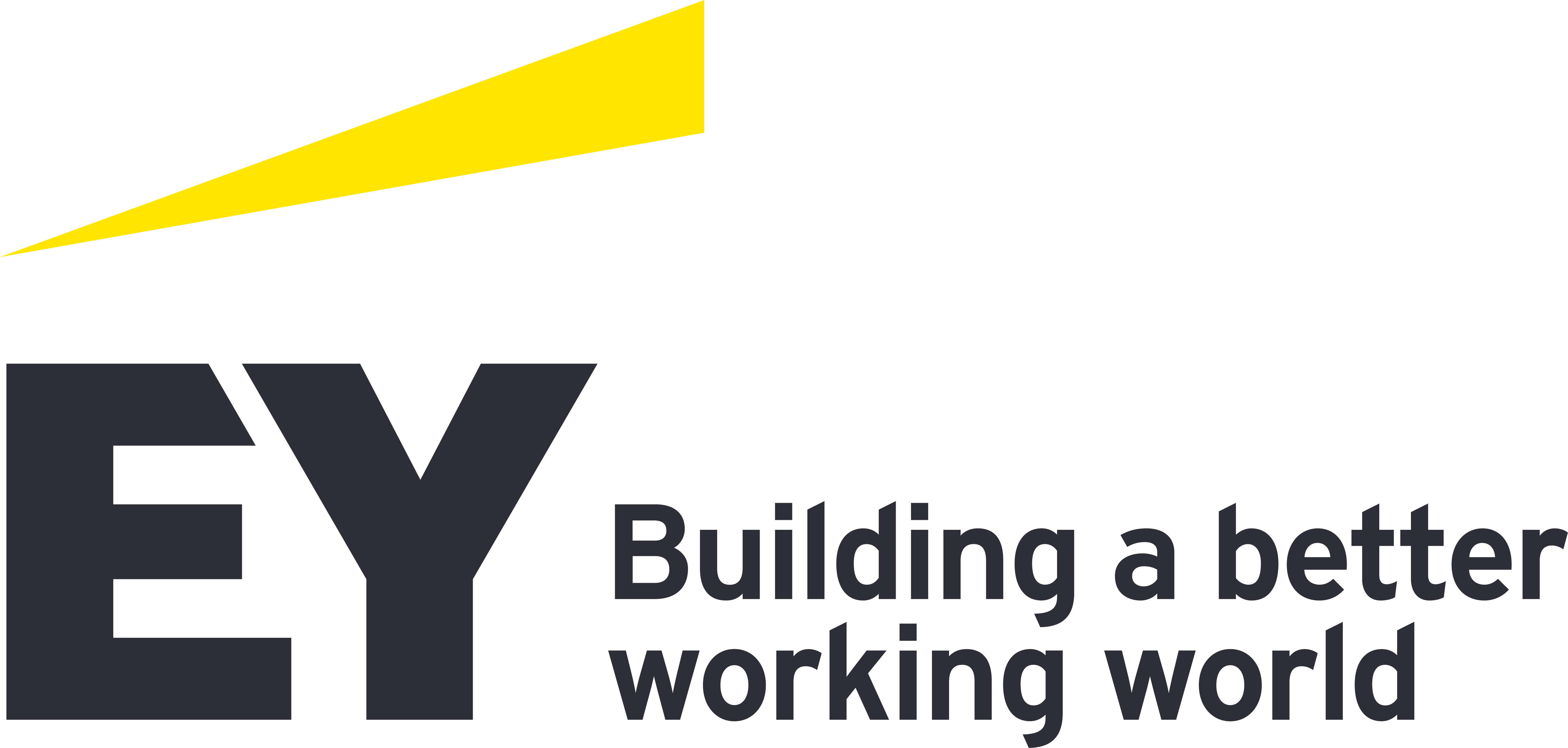 ERNST & YOUNG SERVICES SA