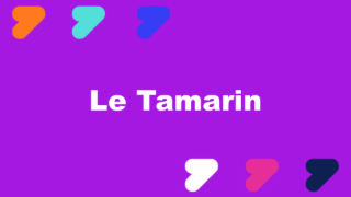 VIDÉO 16 :  Le Tamarin