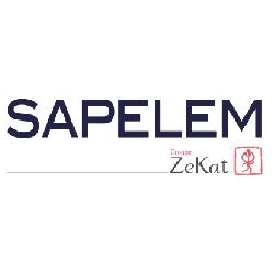 SAPELEM SASU