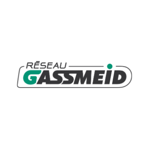 GASSMEID