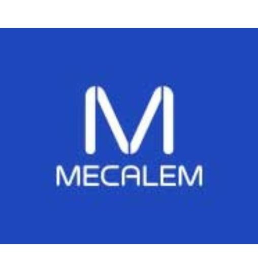 MECALEM SAMS - Groupe EXIANCE