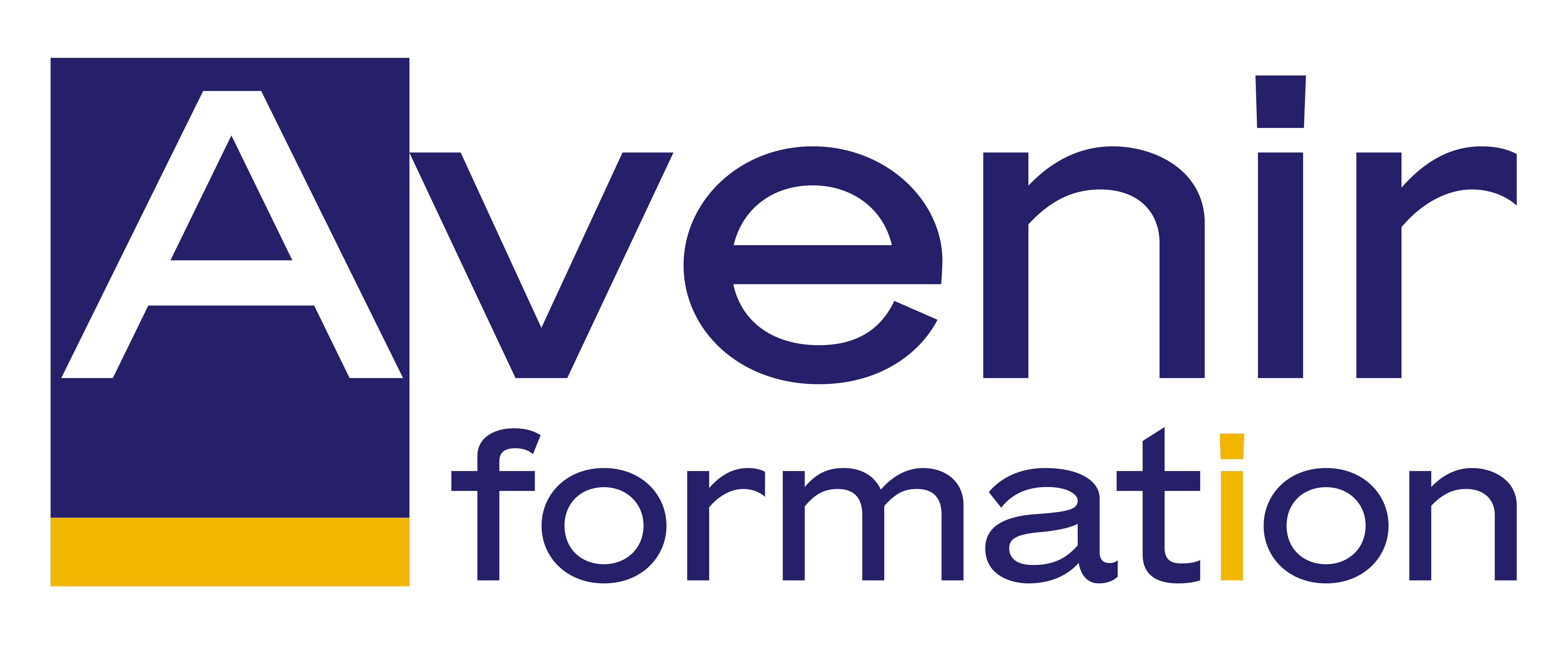 AVENIR FORMATION