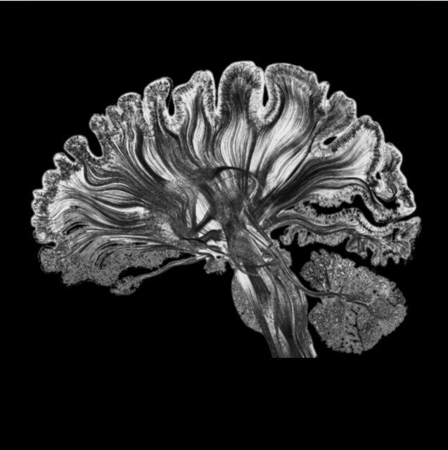 Clôture de la journée