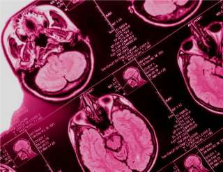 Cocktail déjeunatoire