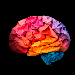 Ouverture de l'événement Movember x Révolution