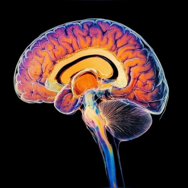 La Remise des Trophées