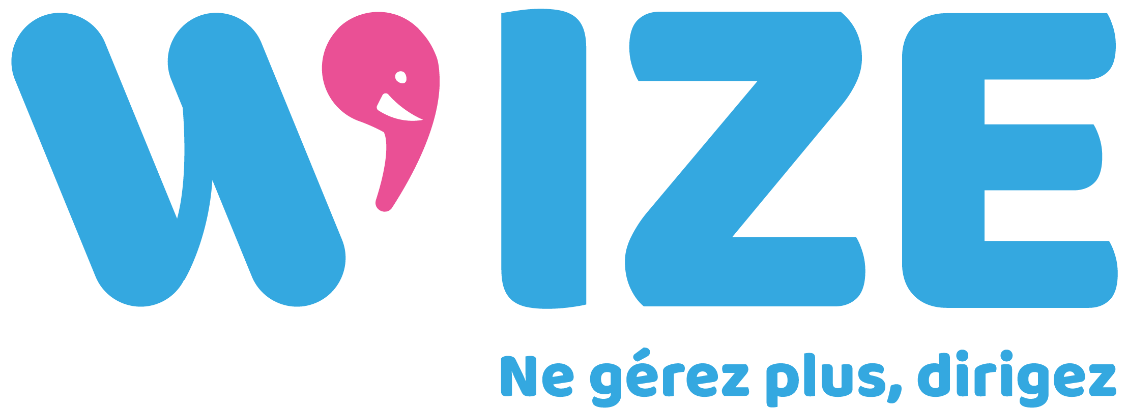 Wize Up