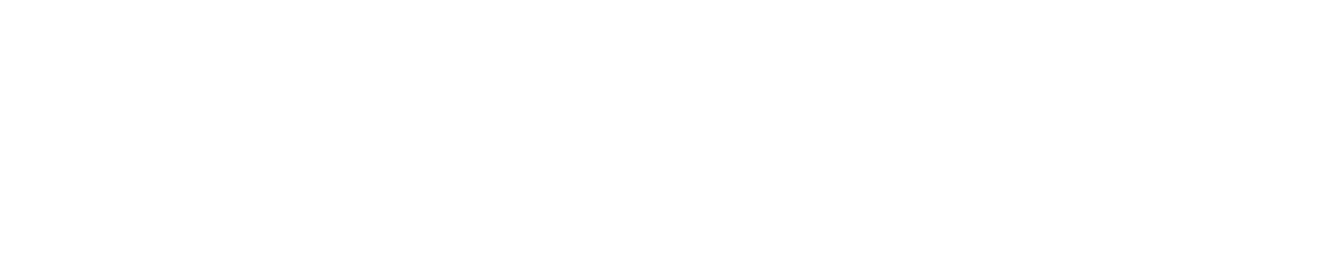 Academy Numérique