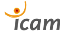 Icam