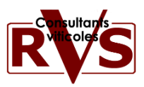 RVS CONSULTANTS