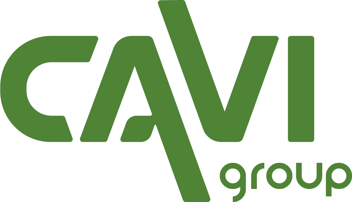 CAVI GROUP