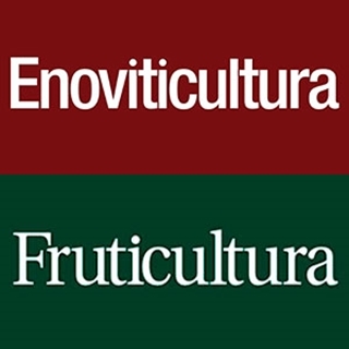 Enoviticultura
