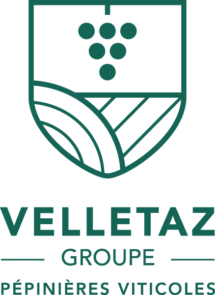 VELLETAZ GROUPE