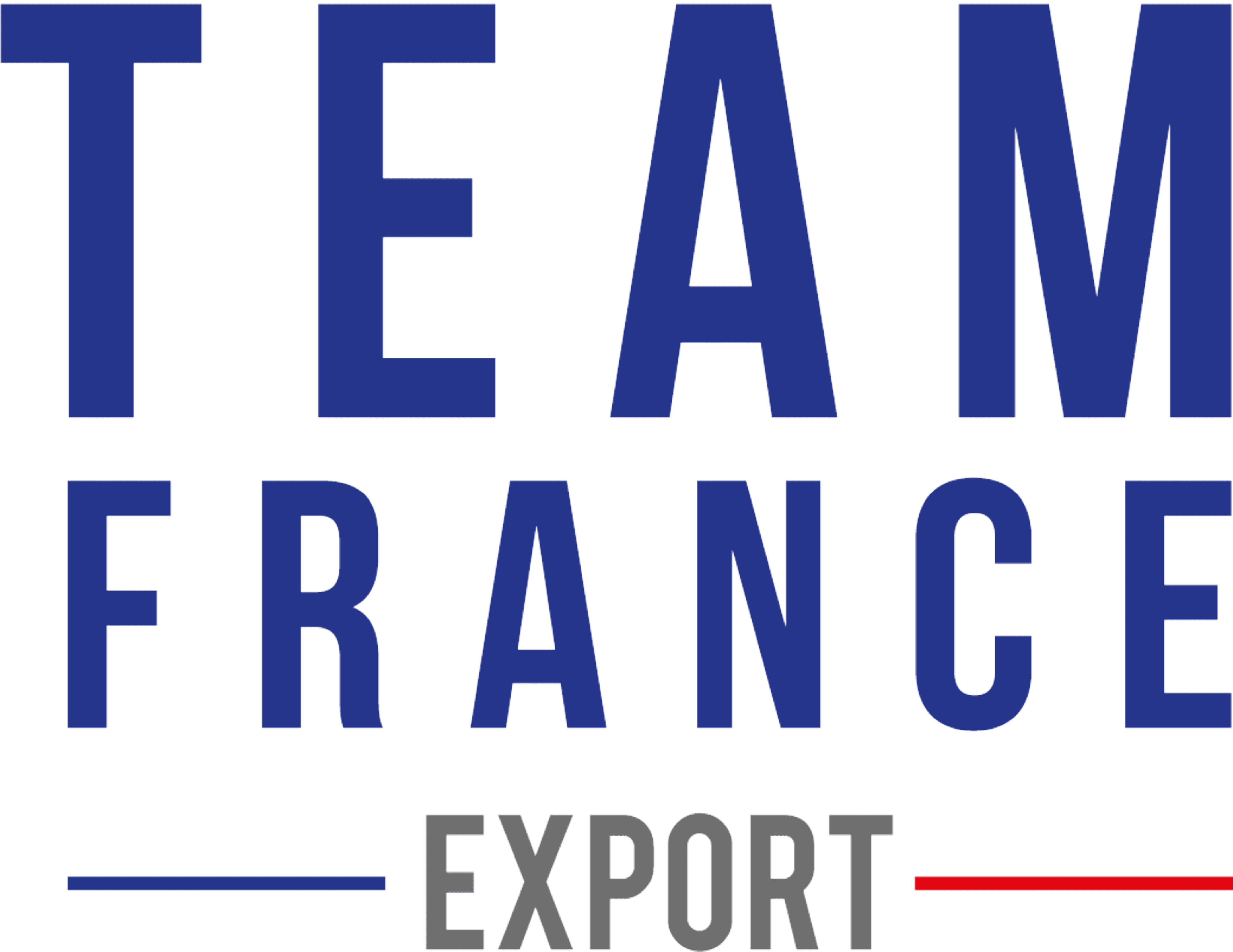 Team France