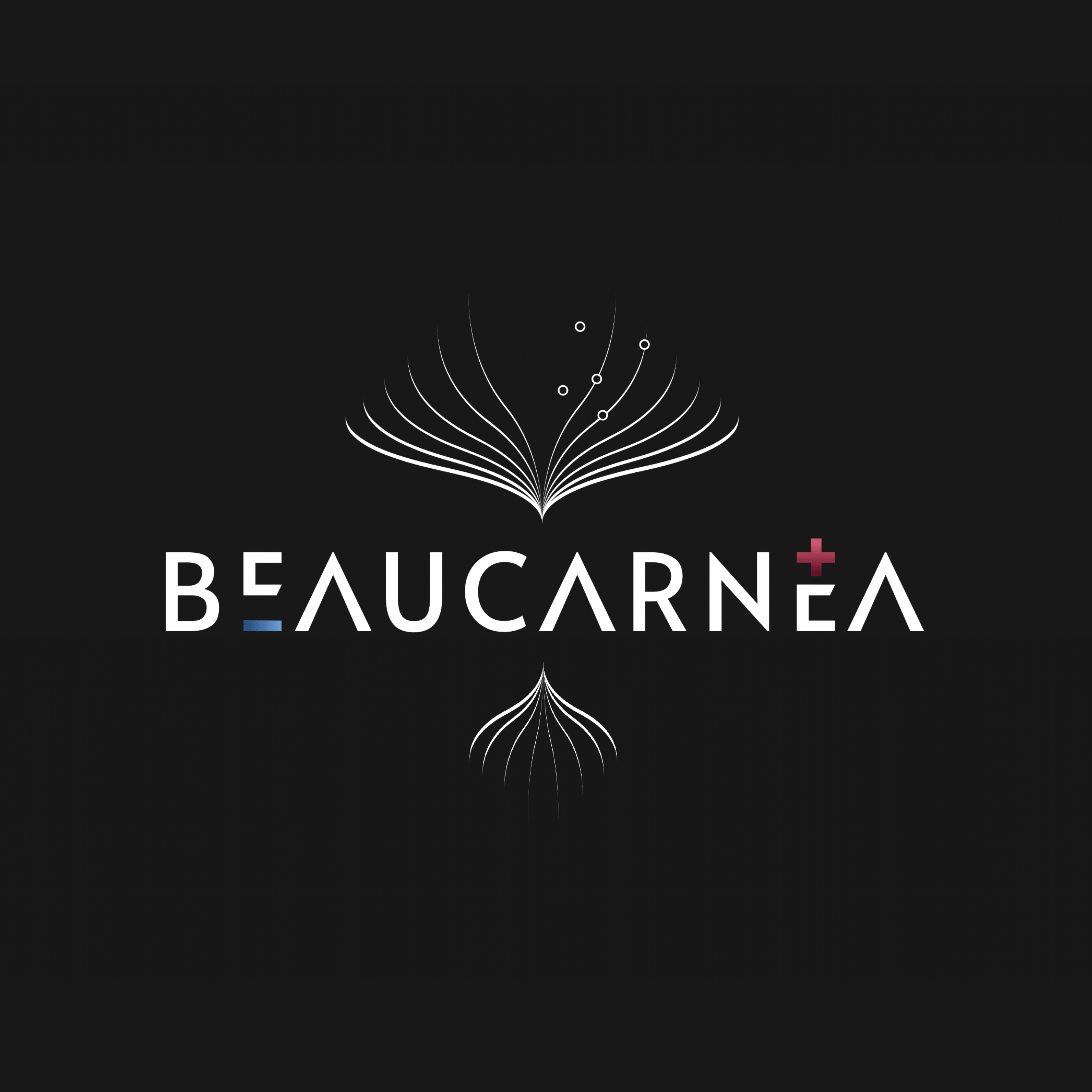 BEAUCARNEA