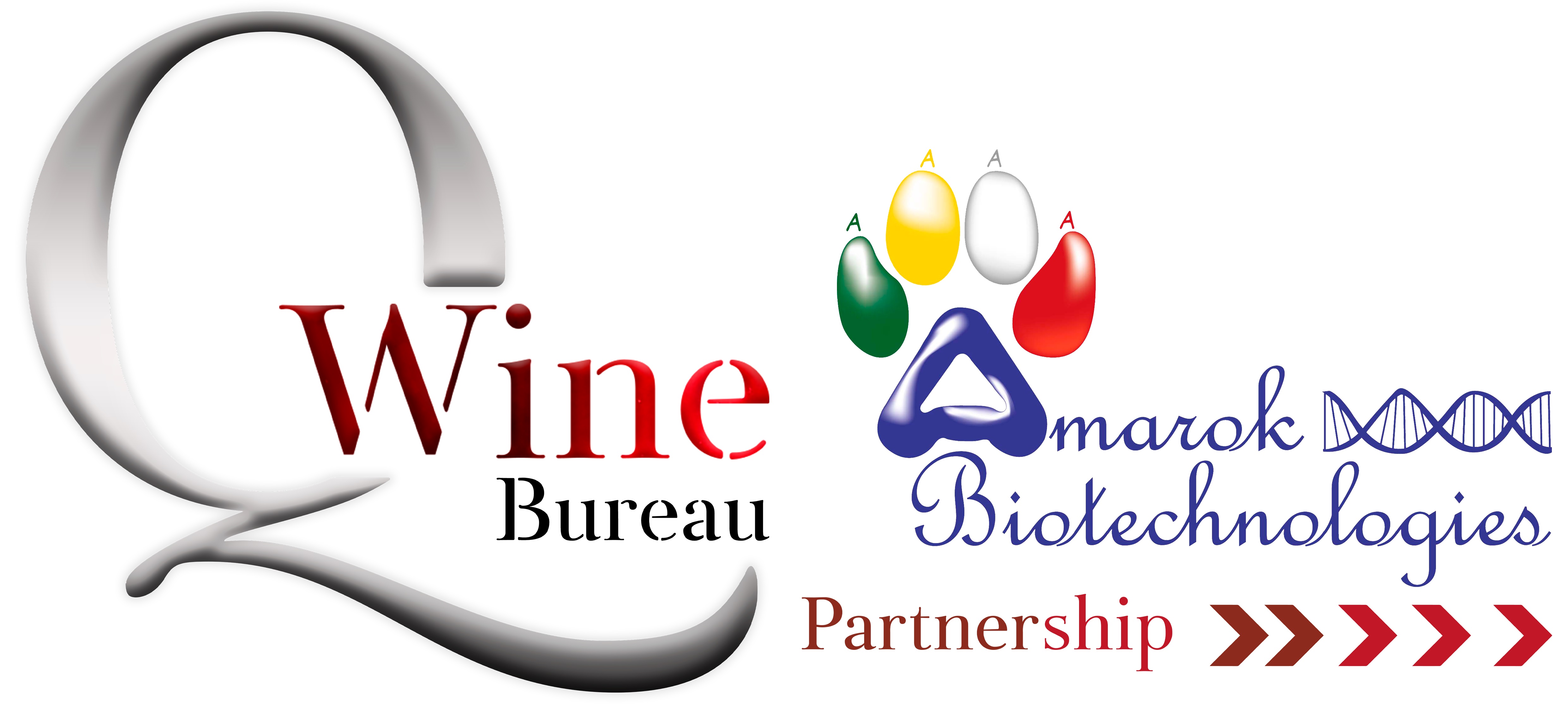 Q-WINE BUREAU & AMAROK BIOTECH