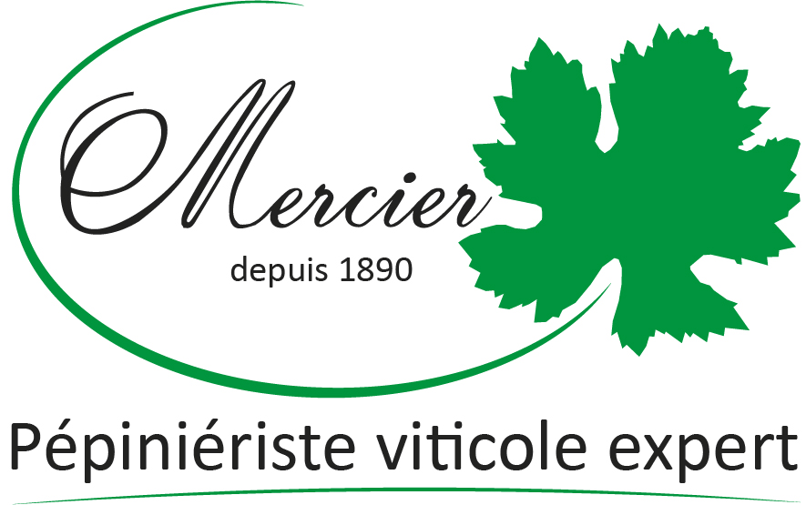 MERCIER FRERES