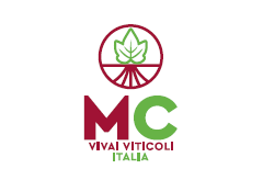 MC VIVAI ITALIA