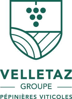 VELLETAZ GROUPE