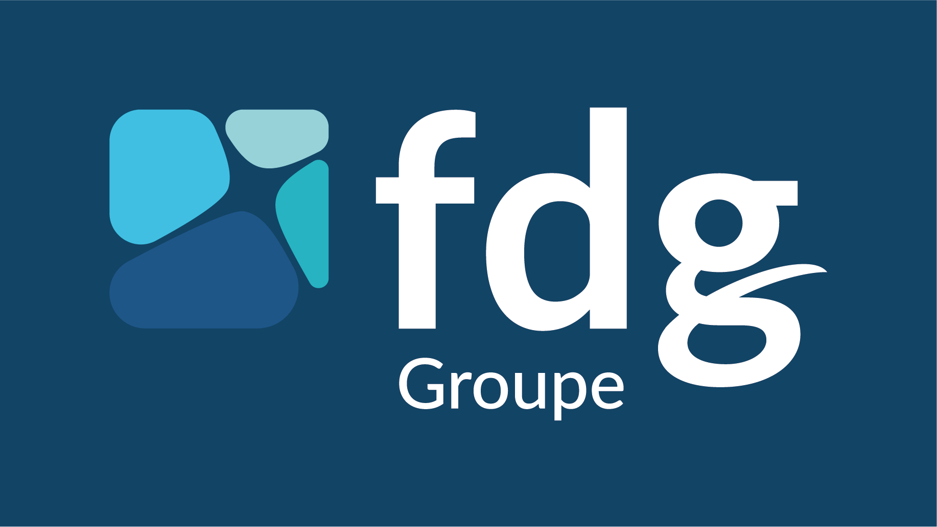 FDG GROUP