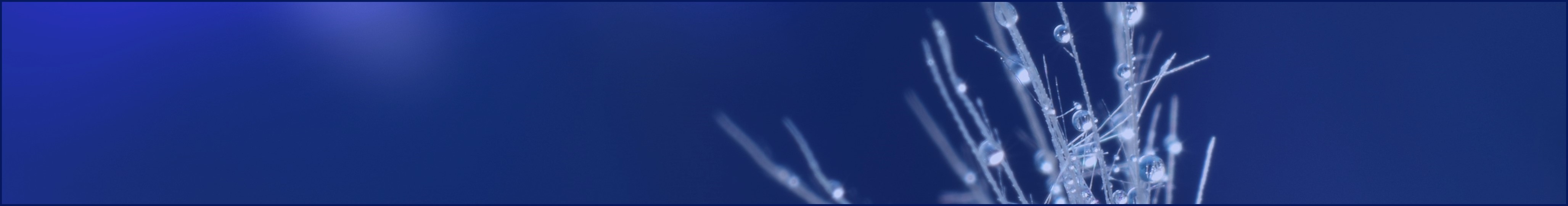 Desktop alt text
