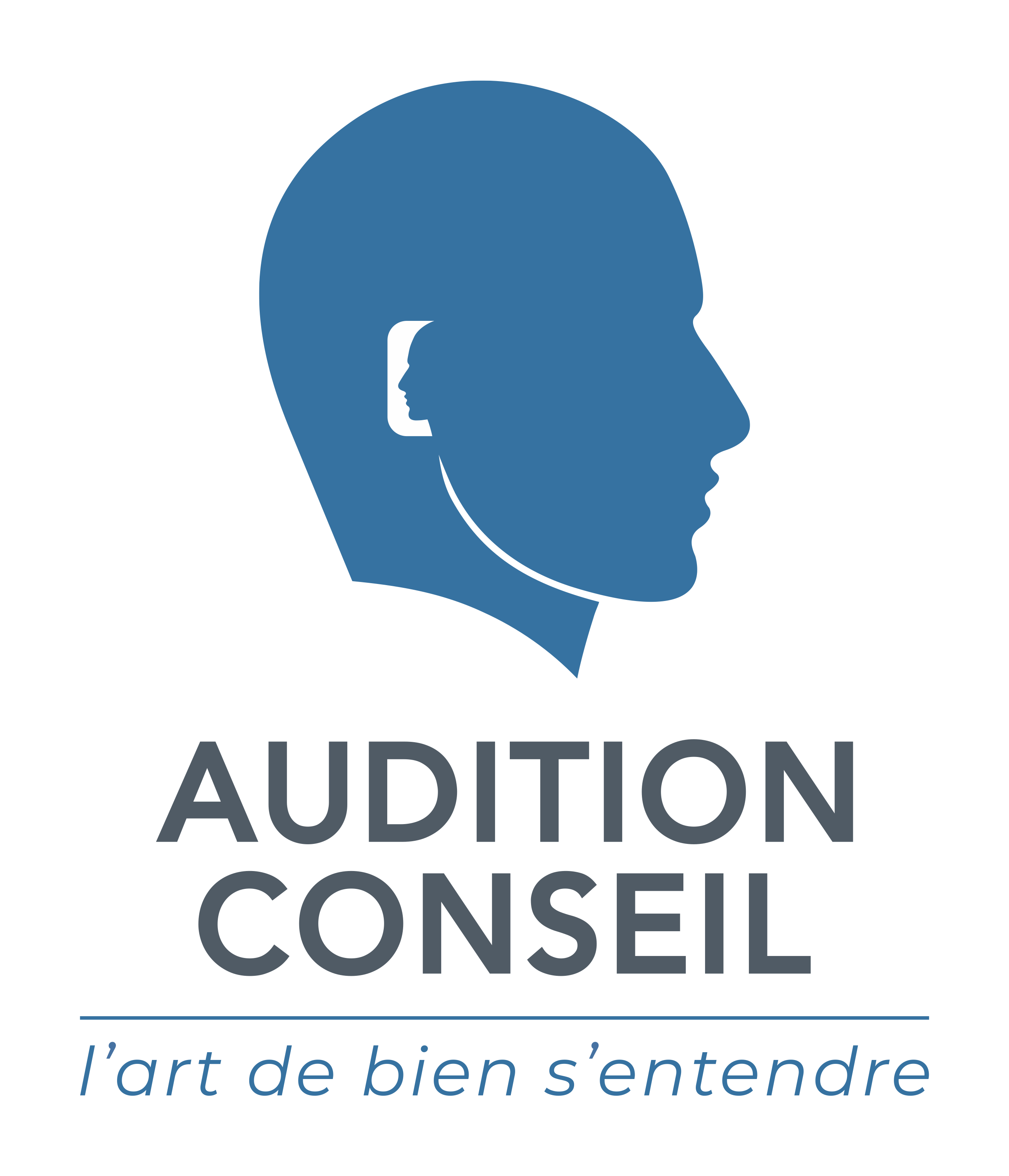 AUDITION CONSEIL