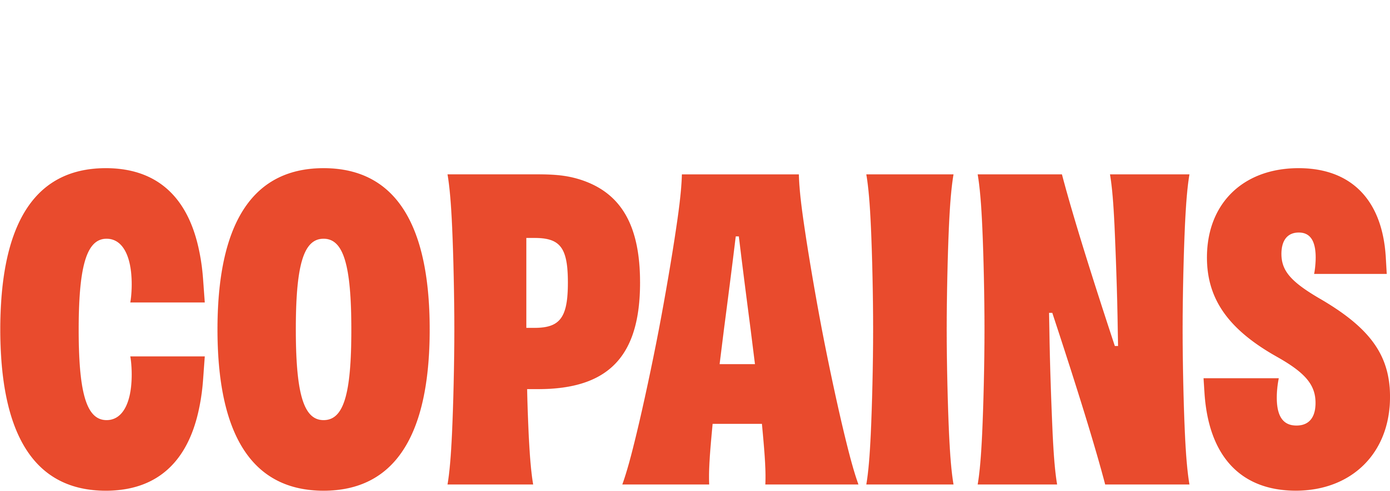 Copains group